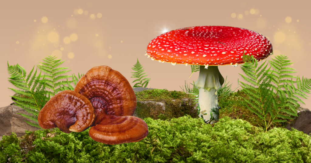 what vapes can you buy in utah Shroom Vape: What It Is, What's Inside, Is It Legal?